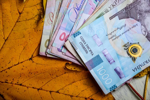 Ukrainisches Geld Liegt Auf Dem Tisch Herbstblättern Hundert Fünfhundertzweihundert Grivettes — Stockfoto