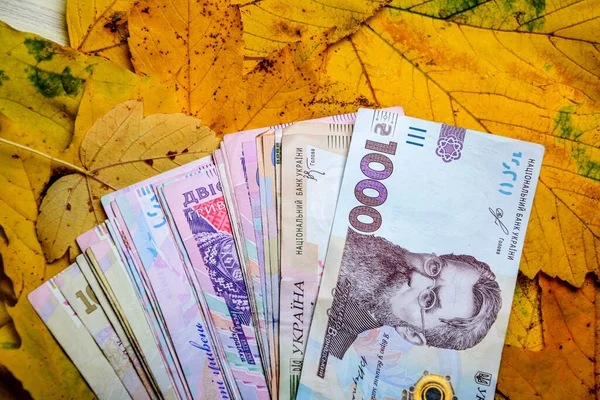 Dinheiro Ucraniano Encontra Sobre Mesa Folhas Outono Cento Quinhentas Duzentas — Fotografia de Stock