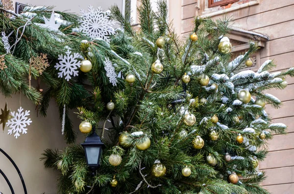 크리스마스 배경에는 전나무 가지와 크리스마스 이달려 — 스톡 사진