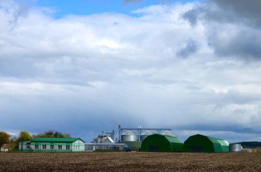 Tarlaya yakın büyük yeşil hangarlar. Güzel kırsal alan. Kırsal konseptin güzelliği.