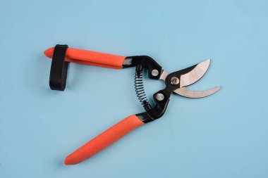 Beyaz arka planda izole edilmiş yeşil kabzalı budama makası (budama makası, bahçe kesicileri) .