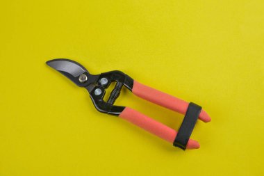 Beyaz arka planda izole edilmiş yeşil kabzalı budama makası (budama makası, bahçe kesicileri) .