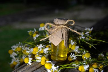 Eski ahşap arka planda Roma papatyası yağı bulunan küçük cam şişe. Papatya çiçekleri, yaklaşın. Aromaterapi, spa ve bitkisel ilaç malzemeleri. Boşluğu kopyala.