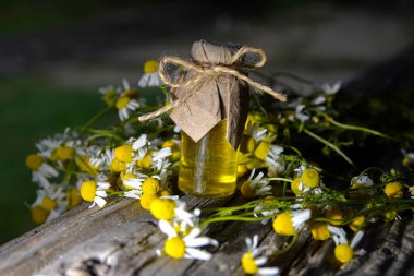 Eski ahşap arka planda Roma papatyası yağı bulunan küçük cam şişe. Papatya çiçekleri, yaklaşın. Aromaterapi, spa ve bitkisel ilaç malzemeleri. Boşluğu kopyala.
