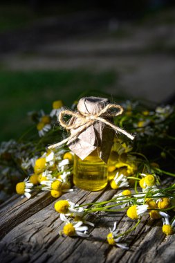 Eski ahşap arka planda Roma papatyası yağı bulunan küçük cam şişe. Papatya çiçekleri, yaklaşın. Aromaterapi, spa ve bitkisel ilaç malzemeleri. Boşluğu kopyala.