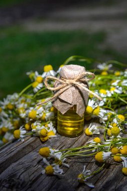 Eski ahşap arka planda Roma papatyası yağı bulunan küçük cam şişe. Papatya çiçekleri, yaklaşın. Aromaterapi, spa ve bitkisel ilaç malzemeleri. Boşluğu kopyala.