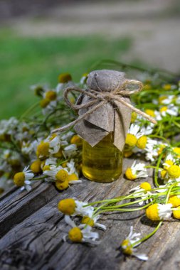 Eski ahşap arka planda Roma papatyası yağı bulunan küçük cam şişe. Papatya çiçekleri, yaklaşın. Aromaterapi, spa ve bitkisel ilaç malzemeleri. Boşluğu kopyala.