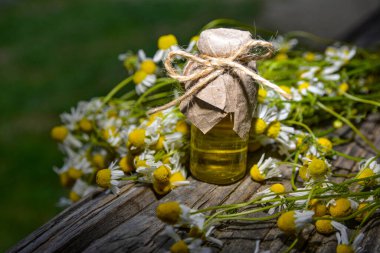 Eski ahşap arka planda Roma papatyası yağı bulunan küçük cam şişe. Papatya çiçekleri, yaklaşın. Aromaterapi, spa ve bitkisel ilaç malzemeleri. Boşluğu kopyala.