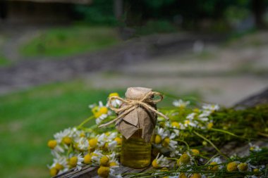Eski ahşap arka planda Roma papatyası yağı bulunan küçük cam şişe. Papatya çiçekleri, yaklaşın. Aromaterapi, spa ve bitkisel ilaç malzemeleri. Boşluğu kopyala.