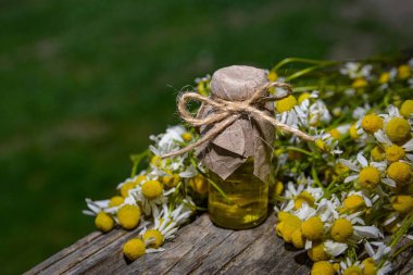 Eski ahşap arka planda Roma papatyası yağı bulunan küçük cam şişe. Papatya çiçekleri, yaklaşın. Aromaterapi, spa ve bitkisel ilaç malzemeleri. Boşluğu kopyala.