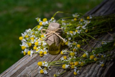 Eski ahşap arka planda Roma papatyası yağı bulunan küçük cam şişe. Papatya çiçekleri, yaklaşın. Aromaterapi, spa ve bitkisel ilaç malzemeleri. Boşluğu kopyala.