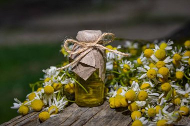 Eski ahşap arka planda Roma papatyası yağı bulunan küçük cam şişe. Papatya çiçekleri, yaklaşın. Aromaterapi, spa ve bitkisel ilaç malzemeleri. Boşluğu kopyala.