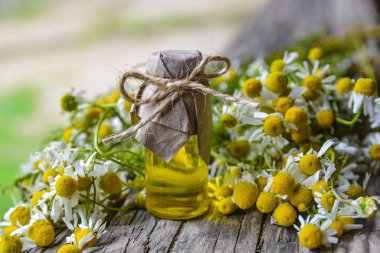 Eski ahşap arka planda Roma papatyası yağı bulunan küçük cam şişe. Papatya çiçekleri, yaklaşın. Aromaterapi, spa ve bitkisel ilaç malzemeleri. Boşluğu kopyala.