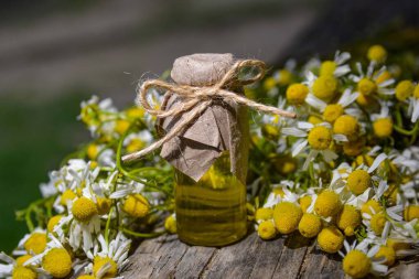 Eski ahşap arka planda Roma papatyası yağı bulunan küçük cam şişe. Papatya çiçekleri, yaklaşın. Aromaterapi, spa ve bitkisel ilaç malzemeleri. Boşluğu kopyala.