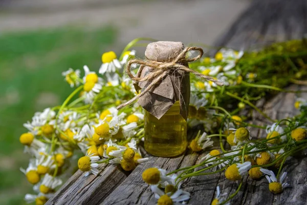 Eski ahşap arka planda Roma papatyası yağı bulunan küçük cam şişe. Papatya çiçekleri, yaklaşın. Aromaterapi, spa ve bitkisel ilaç malzemeleri. Boşluğu kopyala.