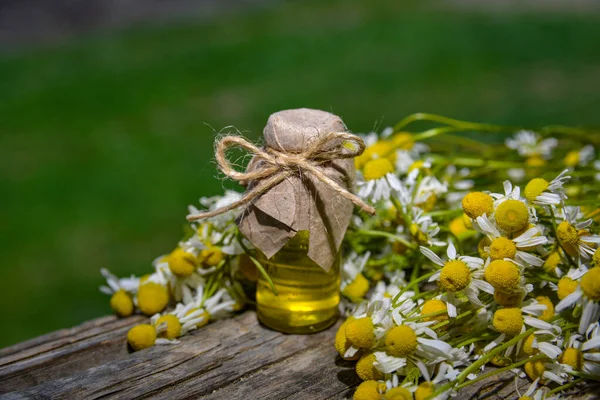 Eski ahşap arka planda Roma papatyası yağı bulunan küçük cam şişe. Papatya çiçekleri, yaklaşın. Aromaterapi, spa ve bitkisel ilaç malzemeleri. Boşluğu kopyala.