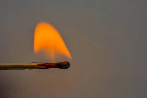 Burning safety-match with red, orange, yellow fire. Flame from a lit match .A wave of yellow flames.