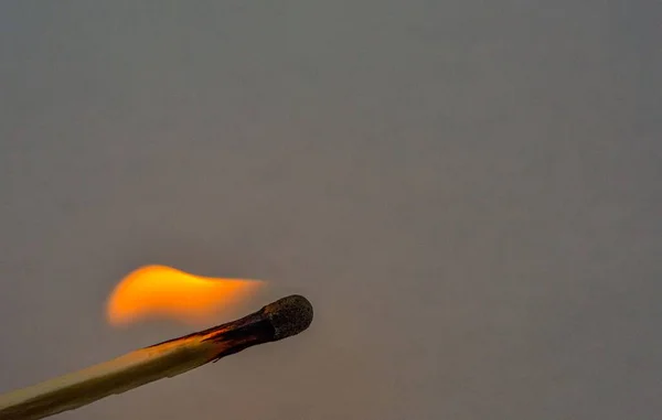Burning safety-match with red, orange, yellow fire. Flame from a lit match .A wave of yellow flames.