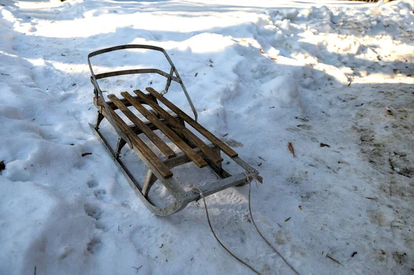 Old children's sleds are standing in the snow on a winter day. Old metal sleigh in the snow. A product for winter skiing. Children's sled with rope, on a white background. .