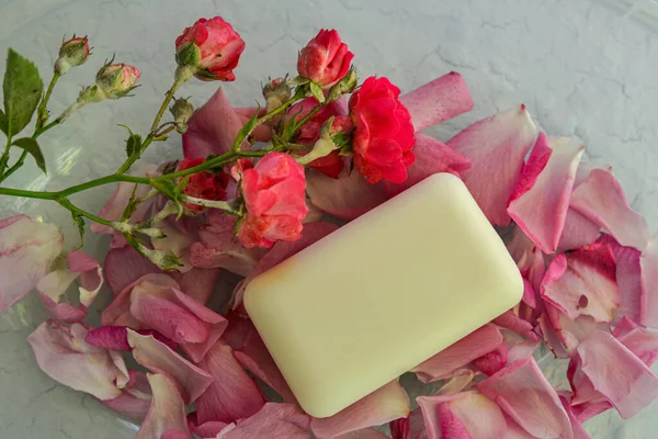 バラの花びら 薬用カモミール 芳香油と手作り石鹸 ウェルネス製品と化粧品 バラの花とエッセンシャルオイルとスパの静物画 — ストック写真