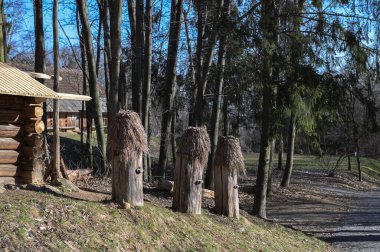 Ahşap arı kovanları olan eski arılar. Samandan ve ağaçtan yapılmış yapay kovanları olan eski bir arı. Orta Avrupa 'da bir yerlerde bulunan eski arı kovanları..