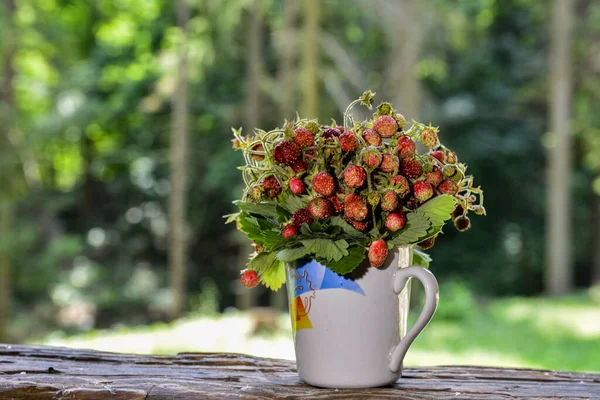 Bouquet of wild strawberry.Sweet and healthy red wild berry.Close up view on the wild strawberries bouquet. Summer wild forest berries.Taste of summer.