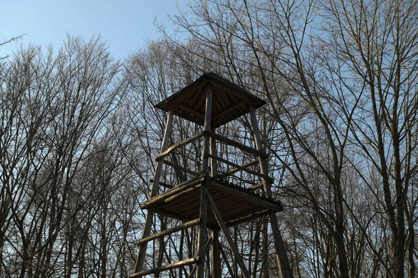 Torre Observación Madera Torre Observación Madera Bosque Torre Observación Marrón —  Fotos de Stock