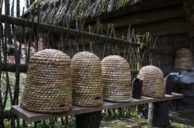 Geleneksel kubbe şeklinde örülmüş arı kovanları. Ders için kopya alanı olan geleneksel bir kubbeli arı kovanı. Saman kovanından yapılmış eski tip arı kovanı..