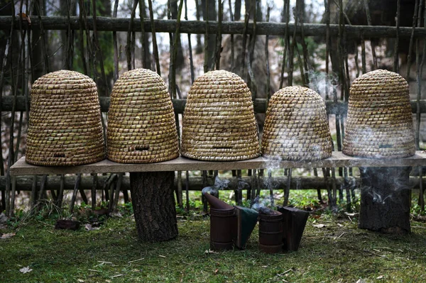 Geleneksel kubbe şeklinde örülmüş arı kovanları. Ders için kopya alanı olan geleneksel bir kubbeli arı kovanı. Saman kovanından yapılmış eski tip arı kovanı..