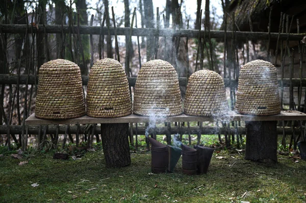 Geleneksel kubbe şeklinde örülmüş arı kovanları. Ders için kopya alanı olan geleneksel bir kubbeli arı kovanı. Saman kovanından yapılmış eski tip arı kovanı..