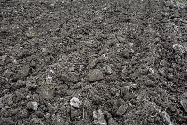 Texture Fertile Soil Top View Spring Gardening Season Concept Loosened — Stock Photo, Image