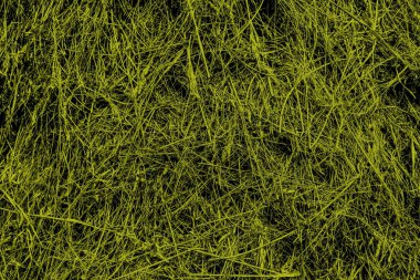 Kuru saman, saman samanı sarısı arkaplan, saman samanı saman samanı dokusu. Soyut bir arkaplan için kuru sarı saman arkaplan dokusu..