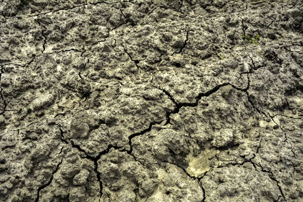 Kahverengi Kuru Toprak Çatlak Zemin Yapısı Kuraklık Sırasında Kuru Toprak — Stok fotoğraf