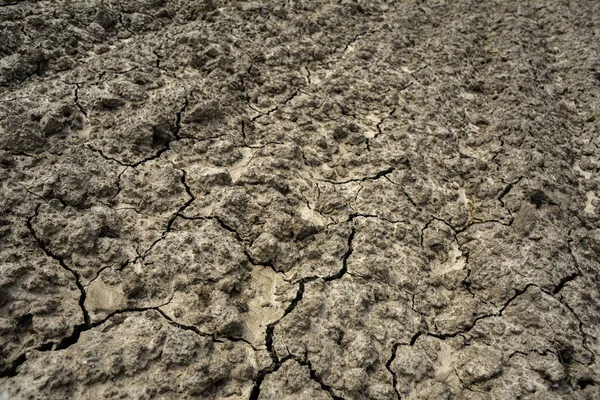 토질의 갈라진 Dry 가뭄중에 — 스톡 사진