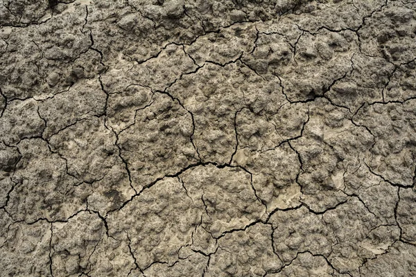 褐土或开裂的地面纹理背景 干旱期间的干旱开裂地面 — 图库照片