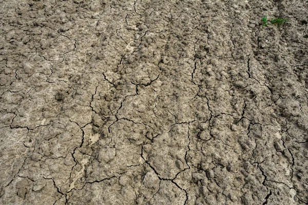 褐土或开裂的地面纹理背景 干旱期间的干旱开裂地面 — 图库照片