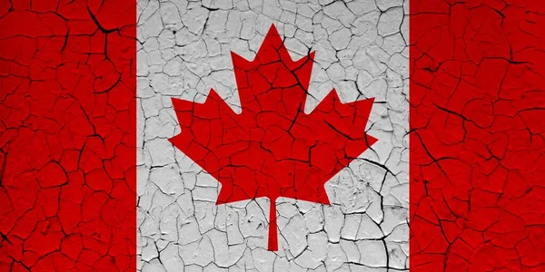Kanada Bayrağı Dalgalanan Ipeksi Kanada Bayrağı Kanada Bayrağının Sallanan Kumaşı — Stok fotoğraf