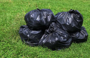 Kamu parkında çöplerle dolu siyah plastik torbalar. Şehrin geçen yılki yeşillik, çöp ve yasadışı atık sahalarından bahar ya da sonbahar temizliği. Çevre koruma.