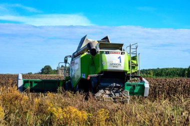 Zdolbuniv. Rivne bölgesi. Ukrayna. 17 Eylül 2023, tarlada çalışan hasatçıyı birleştir. Hasat ayçiçeği. Güneşli bir günde, kuru ayçiçeği biçen bir tarlada birleştir. Sonbahar hasadı.