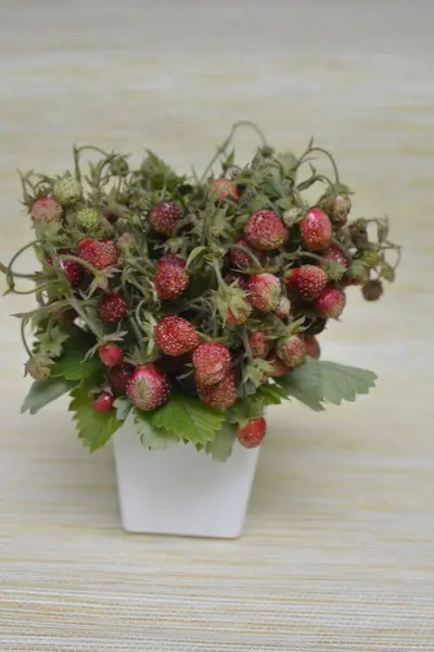 Bouquet of wild strawberry branches in a cup on a rustic wooden table.Healthy natural food. Ecological clean products.