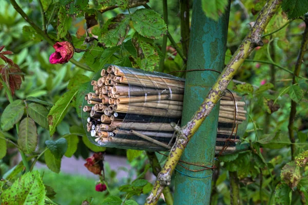 An insect hotel or bee hotel in a summer garden. An insect hotel is a manmade structure created to provide shelter for insects in a variety of shapes and sizes and materials.