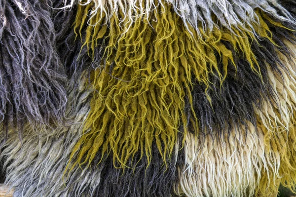 Carpathian sheep wool blanket with monochrome geometric ornaments. Handmade felting wool. Ukrainian craft.Fur blanket. Texture close-up. Carpathian traditional blanket