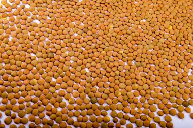 Olgun turuncu mercimekler masaya saçıldı. Organik mercimeklerin homojen arka planı.