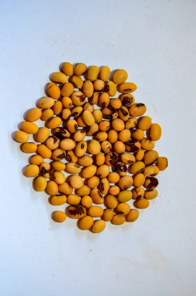 Ripe soybean seeds with beans in the pod. Soybeans, close. A stem with open soybean pods on a background of dry soybeans. Ecological food. The concept of a good harvest. Agriculture
