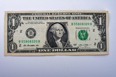 Amerika Birleşik Devletleri 'nin ilk başkanının portresi olan bir Amerikan doları..