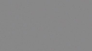 Eastman EXR 100 film tahılı animasyonu. Sinema etkisi. Kaplama ve kompozisyon için ideal. Arkaplan, duvar kağıdı, kopyalama alanı, model.