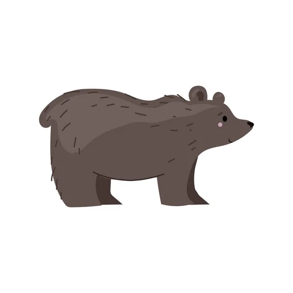 Cute Cartoon Animal Cute Character Bear White Background — Stock Vector