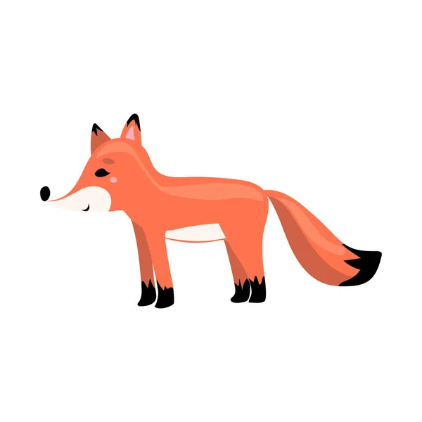 Cute Cartoon Animal Cute Character Fox White Background — Stock Vector