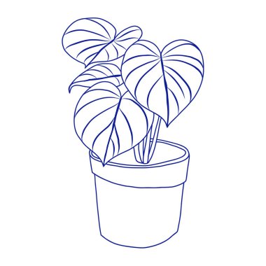 Büyük yapraklı el yapımı bir saksı bitkisinin minimalist el yapımı vektörü botanik dekor, ekolojik tasarım ve ev illüstrasyon temaları için mükemmel..  