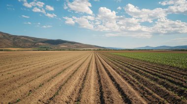 Sakin bir tarımsal manzara, temiz mavi bir gökyüzünün altında düzgünce dizilmiş yeni ekilmiş ekinlere ev sahipliği yapar. Kırsal kesim, tarım hayatının özünü yakalıyor..
